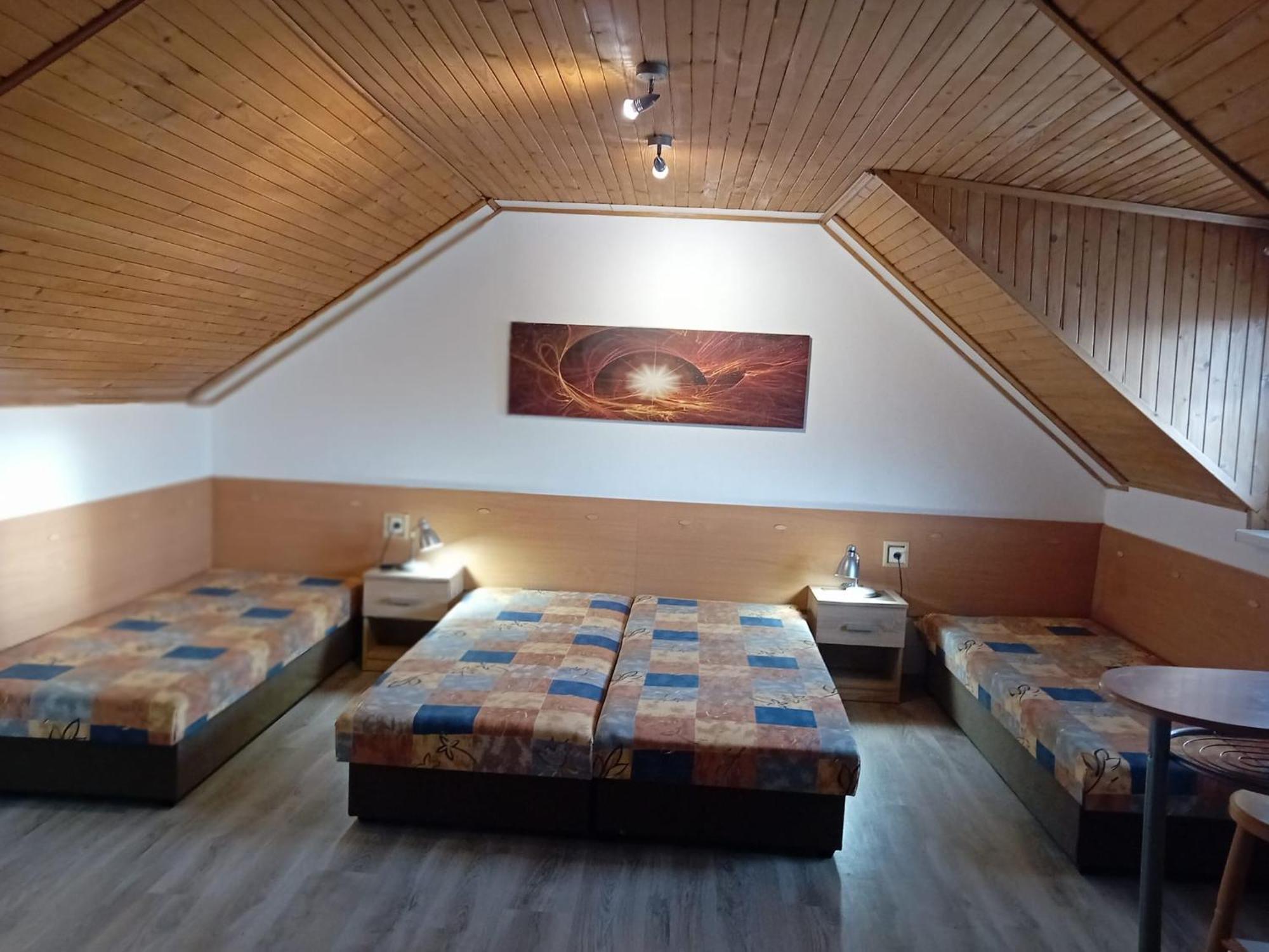 Rekreacny Dom Apartment Strecno Ngoại thất bức ảnh